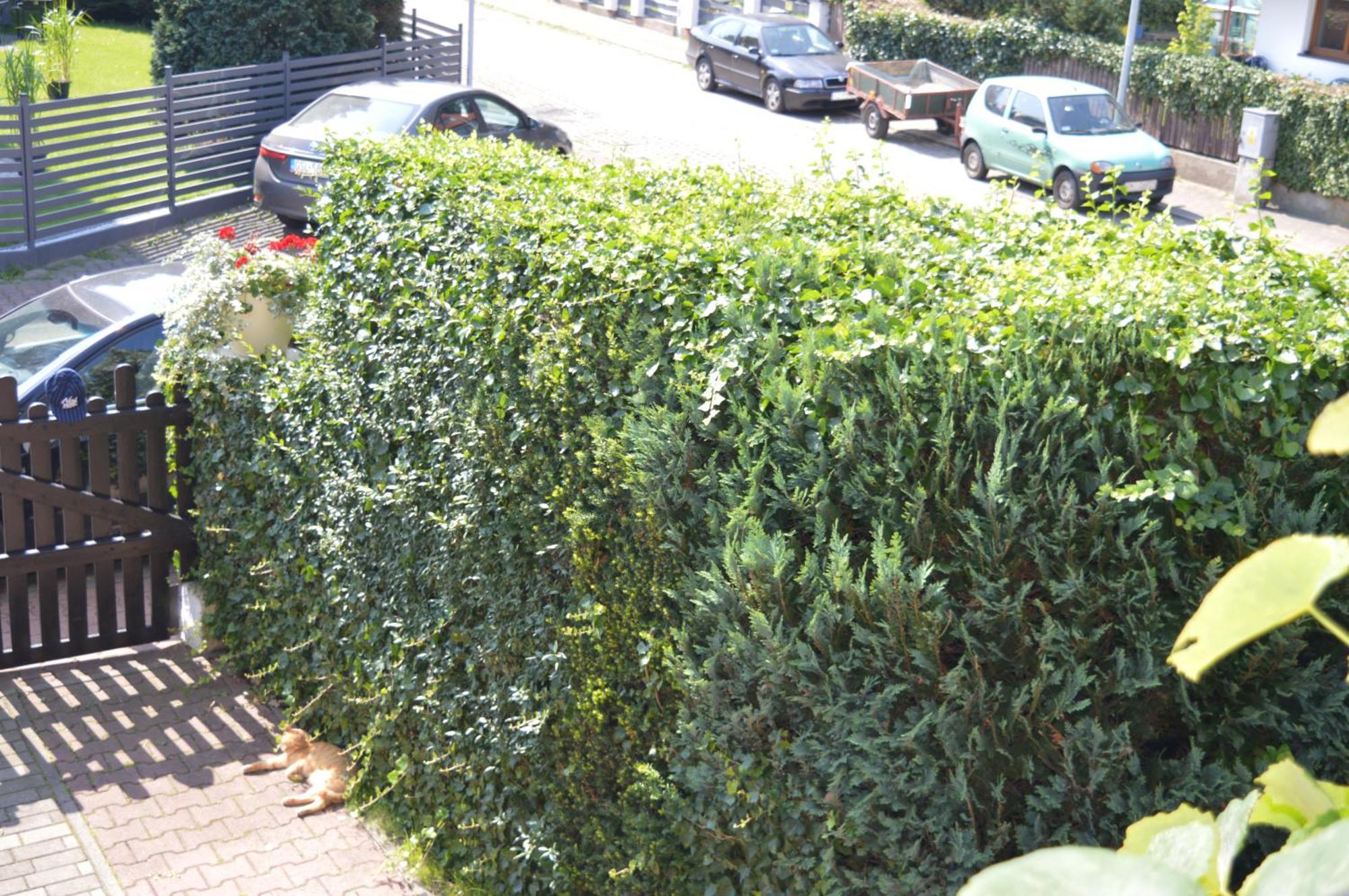 U Piotra Appartement Ustka Buitenkant foto